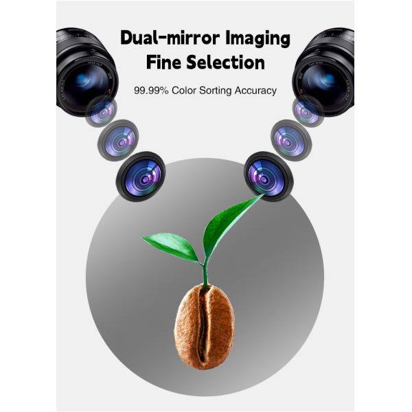 Rice Color Sorter Machine Coffee Beans Rice Garin Color Wheat Automatic Sorting Machine