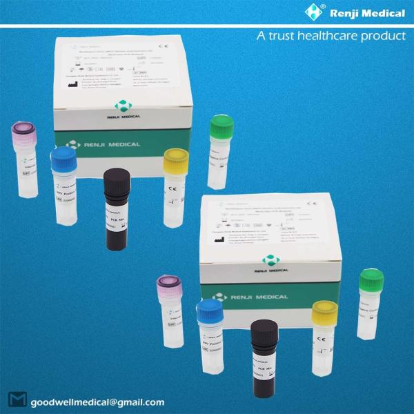 Quality Monkeypox Virus(MPV) Nucleic Acid Detection Kit Fast Test Home Kit Real Time PCR Kit for sale