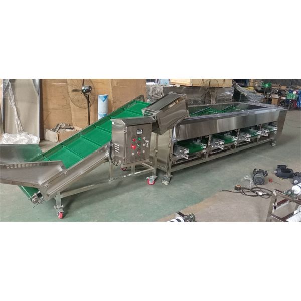 onion sorting machine, onion grading machine, onion sorter grader