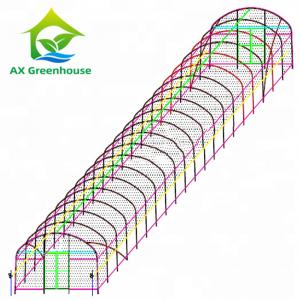 China 0.06mm 0.20mm Thick Flm Poly Tunnel Greenhouse Hot Galvanised Steel Greenhouse wholesale