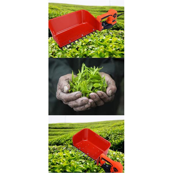 24v 10Ah Mini Battery Powered Tea Picking Machine Tea Harvester For Outdoor