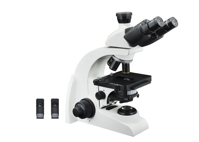 China 3W LED Phase Contrast Microscopy , Trinocular Biological Microscope wholesale
