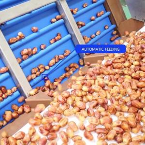 China External Defect Detection 1.4 Tons per Hour 6-Lane Palm Dates Sorting Machine wholesale