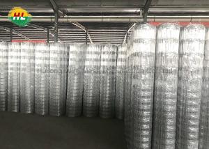 China 50m Hinge Joint Wire Mesh , Hot Dipped Galvanized Wire Mesh Rolls wholesale