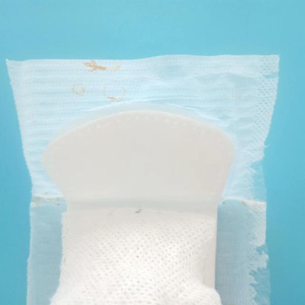 ISO9001 CE Certified Customized Herbal Anion Women's 2022 Incontinence Panty Liner