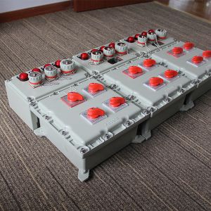 IIBT4 Distribution Flameproof Control Panels Flame Explosion Proof Control Panel
