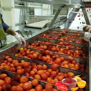 China Sauce Paste Tomato Ketchup Production Line Commercial on sale