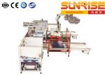 Robot Palletizing System 20 Boxes Per Minute Single Station Robot Palletizer