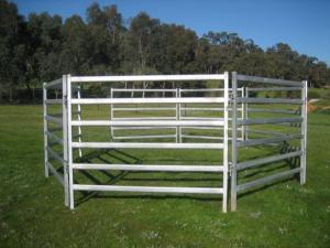 China From Budget Cattle Panels To Extra Heavy Duty Portable Corral Panels For Cattle wholesale