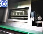 Automatic Heavy Fruit Tray Making Machine Customized Coffee Cup Use
