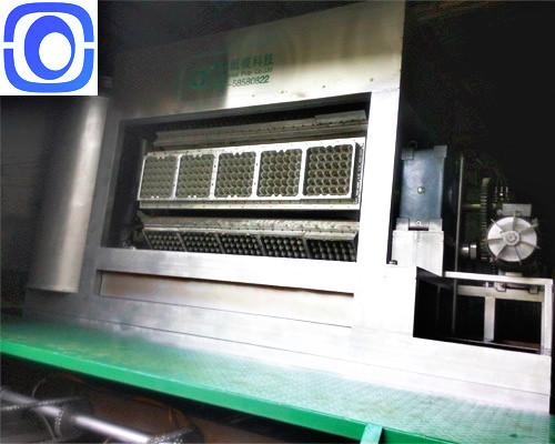 Quality Automatic Heavy Fruit Tray Making Machine Customized Coffee Cup Use for sale