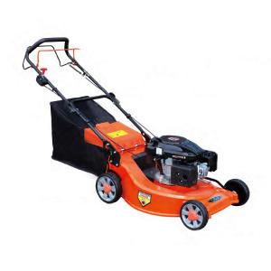 China 6 HP Cylinder Petrol Lawn Mower Garden Portable Lawn Mower With B&S or Honda Engine wholesale