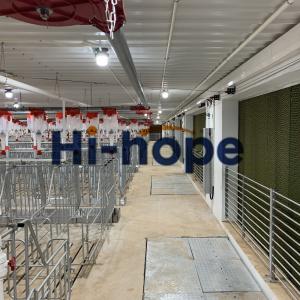 China Complete Pig Farm Design Pigger Solutions With Complete Equipment wholesale