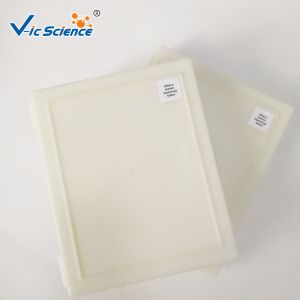 Anatomy Histology Prepared Pathology Microscope Slides 200 Pieces Odm Service