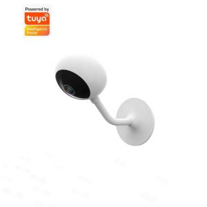 China Remote Control Tuya Smart Camera Wifi Two Way 10m Night Vision Motion Sensor wholesale
