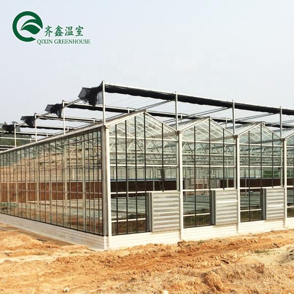 South Korea Agricultural Greenhouse with Ebb Flow Rolling Bench and Inside Shading System