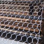 BWG21X3/4" Galvanized Hexagonal Wire Mesh Roll Chicken Net For For Chicken Coop
