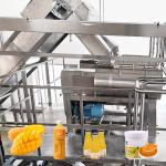 3T/H Mango Processing Line Jam Processing Machine One Stop Service