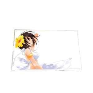 China High Quality B170PW03 V2 17.3 inch TFT LCD Screen wholesale