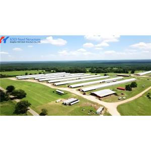 Steel Structure Broiler Chicken House with Automated Feeding System