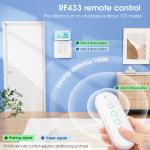 Tuya WiFi Touch Wall Switch Type C, EU Standard, RF433, 110-240V, with Timer and