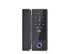 Gold G10S Glass Lock with Tuya app ttlock app Unlock way fingerprint/password