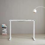 Adjustable Height Kid Computer Study Standing Table with Dual Motor in Custom