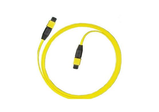 Quality SM 24 Core Mpo Mtp Patch Cord , Fan Out Duplex Patch Cord For CATV / Computer Networks for sale