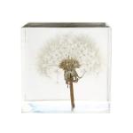 cubic Acrylic resin paper weight with custom embedding inside