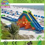 QinDa Inflatable cartoon inflatable slide and bouncer, inflatable bouncy slide