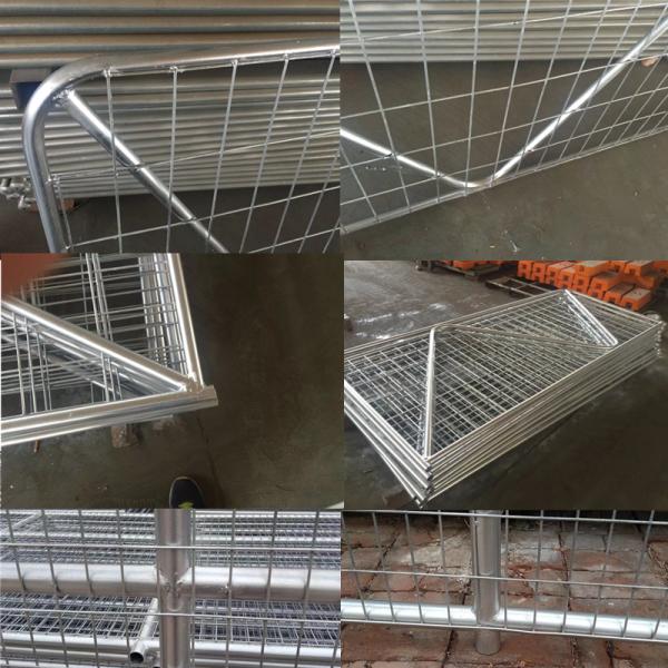 30*60*1.6mm Oval Pipe economic Full Welded Used Horse Corral Panels For Farm