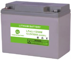 China Deep Cycle LiFePo4 Lithium Ion Solar Battery 12V 50AH Solar Panels Energy storage wholesale