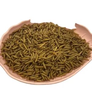 Insect and Yellow Dried Black Soldier Fly 3-5cm with