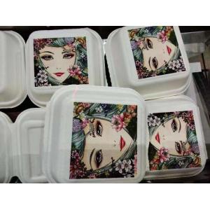 PRY-691S Automatic Box Printer Machine Direct To Packaging