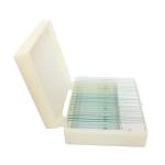 25pieces Of Box Set Prepared Shockproof Zoology Microscope Slides