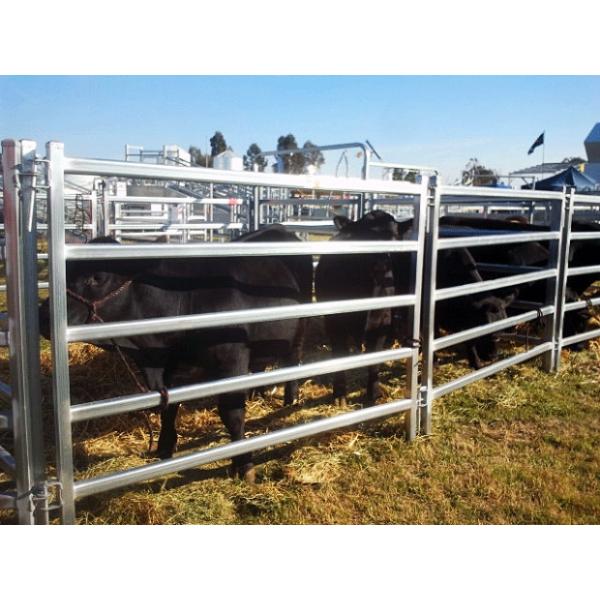 1.8M x 2.1M Heavy Duty Portable Cattle Yard Panel 5 Oval Bars 2.5mm Thick