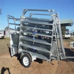 Australian Galvanized Cattle Loading Ramp / Mobile Cattle Loading Ramp Easy