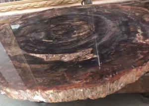 China Polished Brown Natural Semi Precious Stone Slabs Petrified Wood wholesale