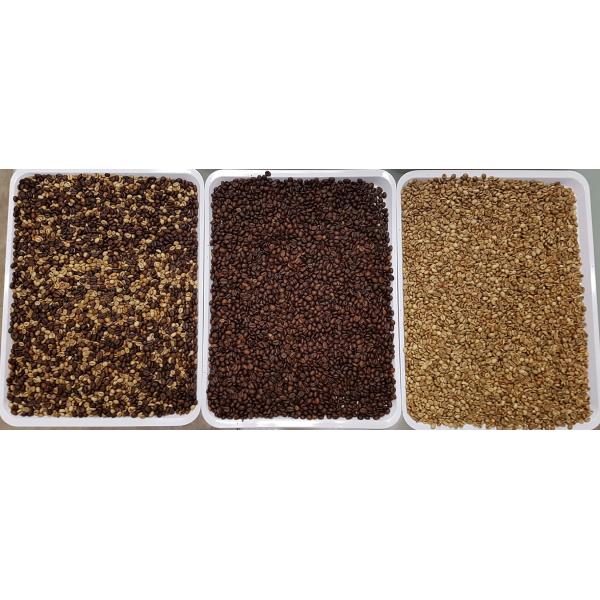 5400 Pixels Plastic Color Sorter Image Processing Algorithms