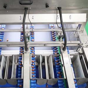 China 2.0 Tons High-Capacity Defect Sorting 8-Lane Palm Dates Sorting Machine wholesale
