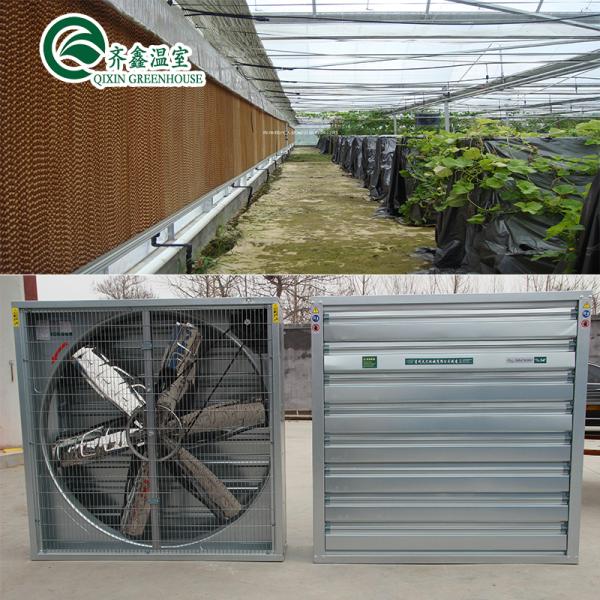Galvanized Steel Structure Venlo Glass Greenhouse for Growing Vegetable Fruits Flowers