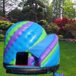 14 Years up Inflatable Castle Bounce House with Custom Logo Printed in 2024