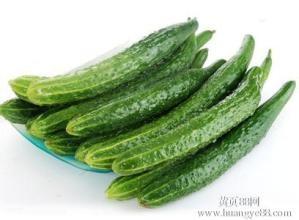 China Cucumber Extract Enhance immunity, delaying aging Chinese Manufacturer Yongyuan Bio-Tech wholesale