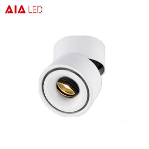 China Surface mounted led 20W brightest led spot light & portable adjustable spotlight for home on sale