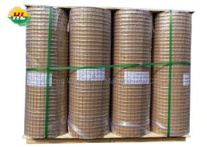 China Galvanized Before Welding 1 inch x 1 inch 3ft x 19.5m 14Gauge Welded Wire Mesh Roll with Pallet for Home Garden Projects on sale