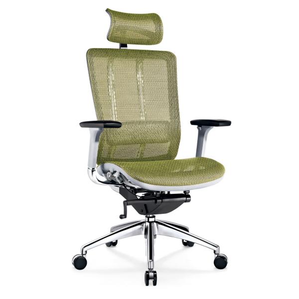 Reclining Ergonomic Home Office Chairs Mesh Bottom