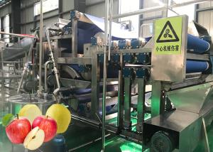 China Fully Automatic Apple Juice Production Line Advanced Preliminary Array Technology wholesale