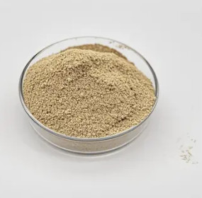 China Water Treatment Bio Bacteria Powder Long Lasting Trusted Performance wholesale