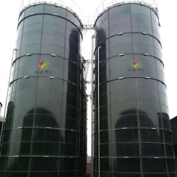 EGSB Biogas Plant Project Domestic Anaerobic Biogas Digester System