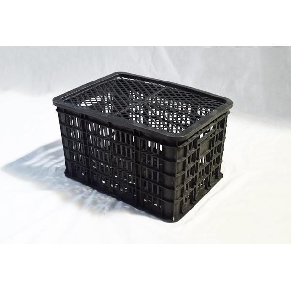 Black Anti-Moisture Masterbatch – 2–5% Dosage for Reduced Black Masterbatch Consumption